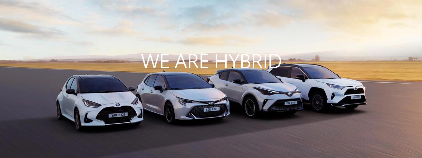 We Are Hybrid