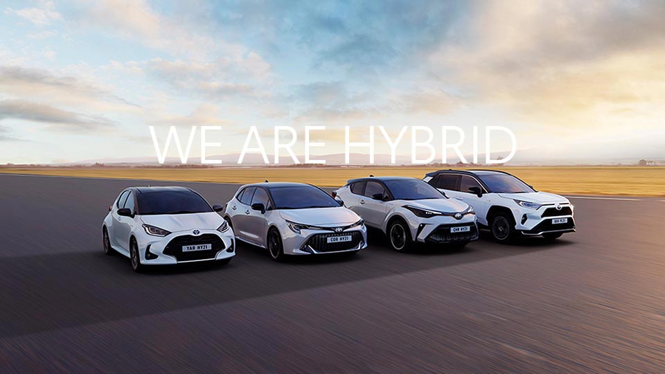 We Are Hybrid