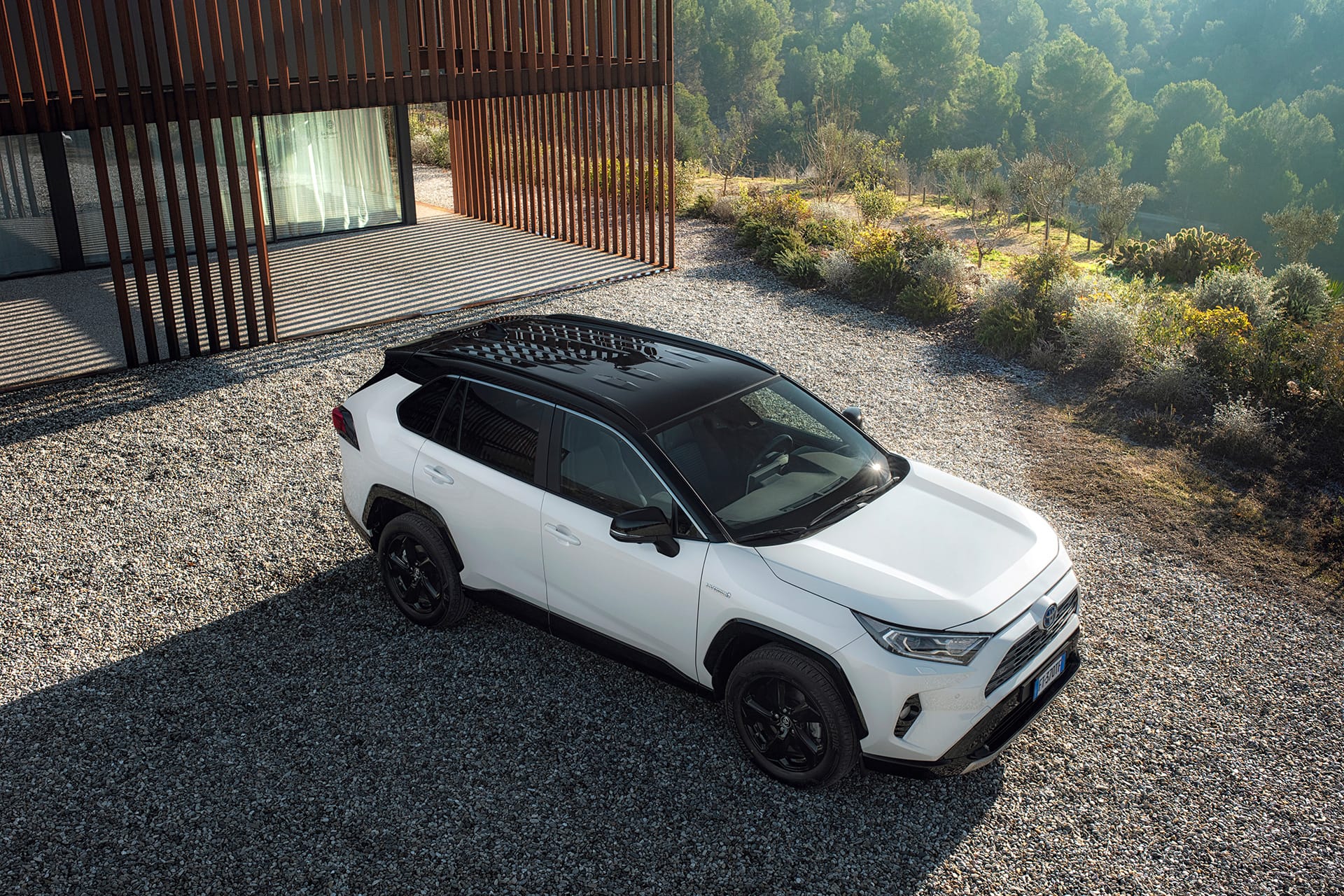 Toyota Karriere
