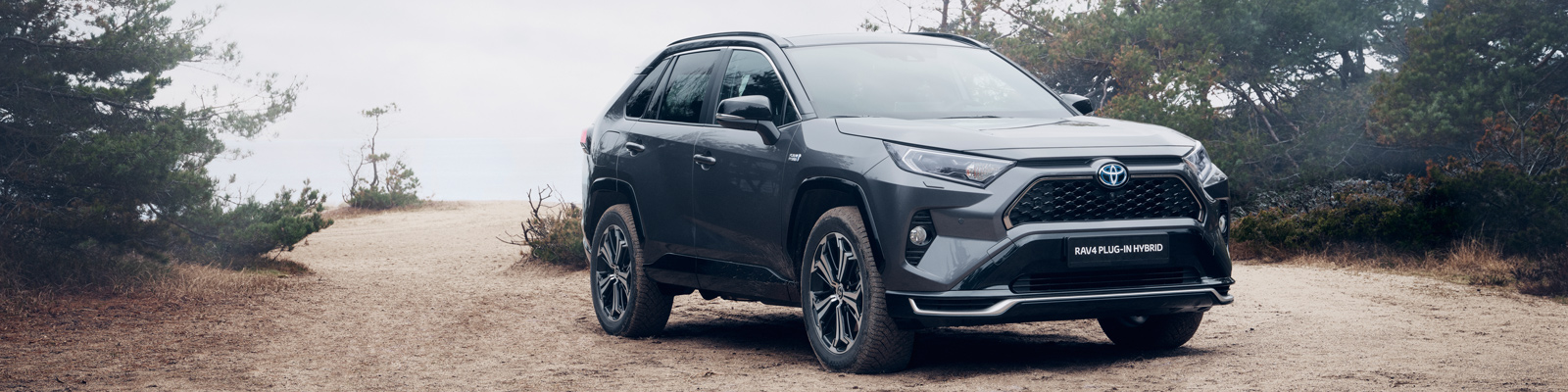 RAV4 Banner Mobile