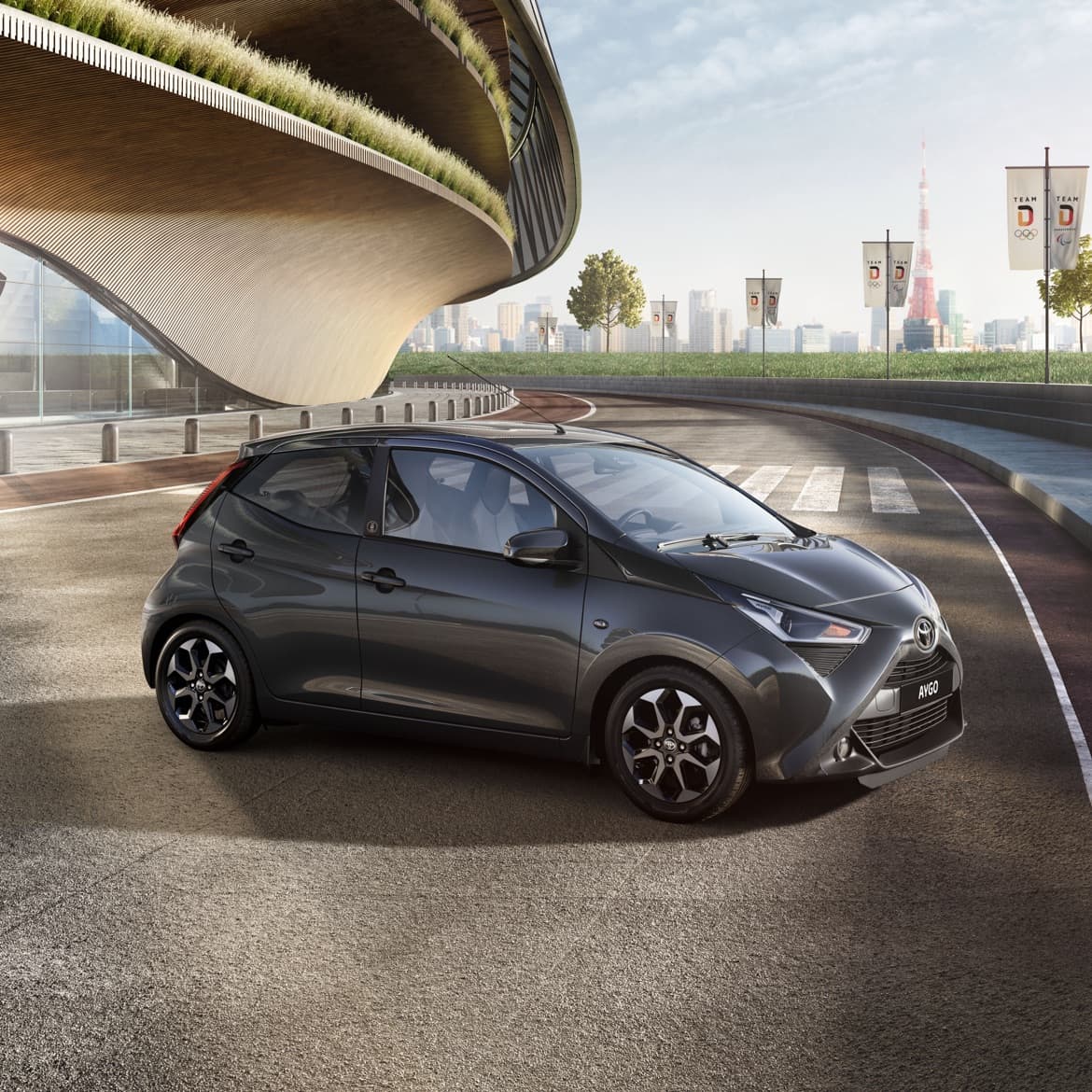 AYGO Team-D